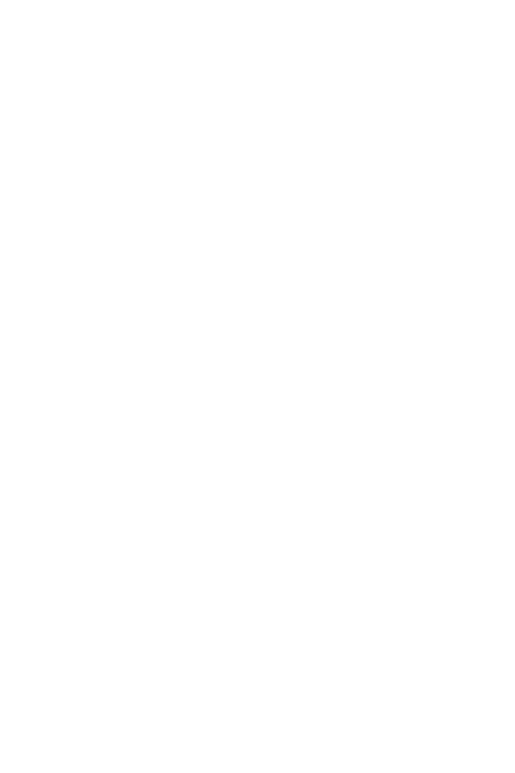 Tartiflette au Bethmale – spécialité ariégeoise